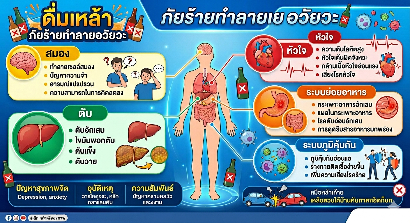 ผลกระทบจากการดื่มเครื่องดื่มแอลกอฮอล์ 