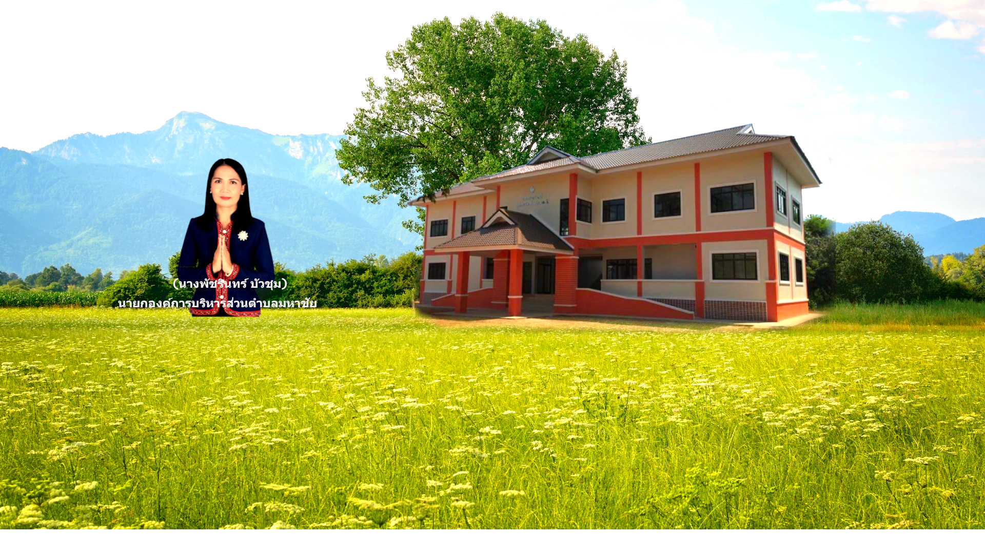 พื้นหลัง